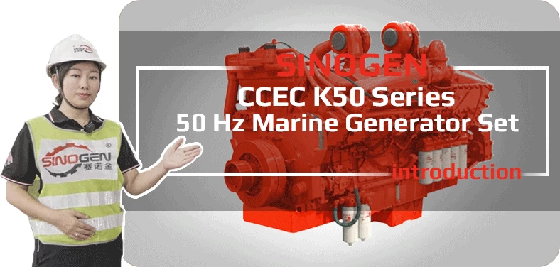 DCEC CDLO200PSA Industrial Generator Set Video