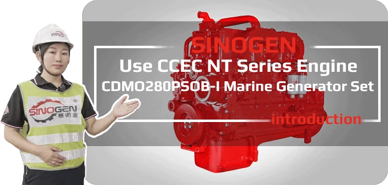 DCEC CDLO200PSA Industrial Generator Set Video