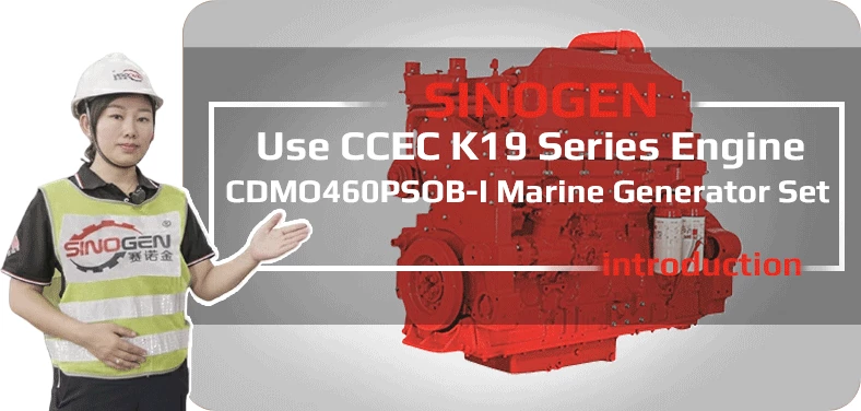 DCEC CDLO200PSA Industrial Generator Set Video