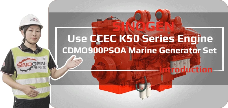 DCEC CDLO200PSA Industrial Generator Set Video