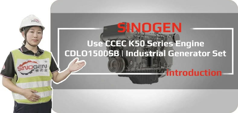 DCEC CDLO200PSA Industrial Generator Set Video