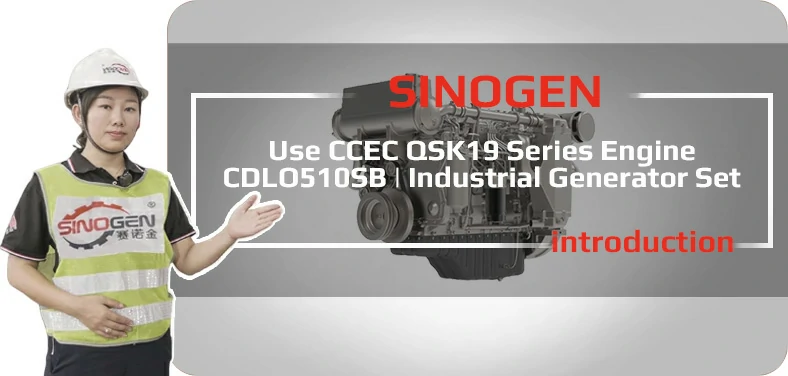 DCEC CDLO200PSA Industrial Generator Set Video