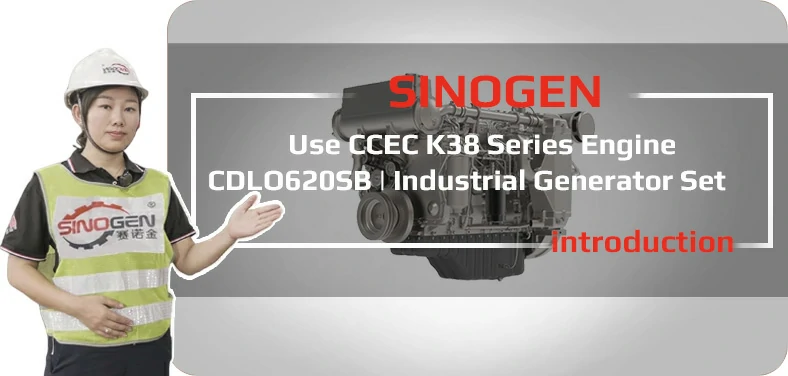 DCEC CDLO200PSA Industrial Generator Set Video
